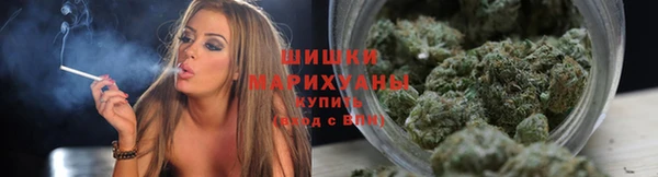 ПСИЛОЦИБИНОВЫЕ ГРИБЫ Алзамай