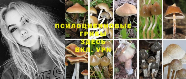 марихуана Сатка